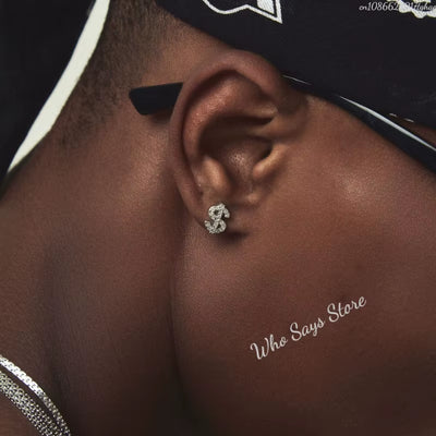 Stainless Steel Earrings Hip Hop Jewelry Stud Earring Iced Out Zircon Dollar Sign Gold Plated Earrings for Women